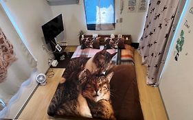 Tokyo Shibuya Shinjyuku Cat House !